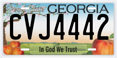 GA license plate CVJ4442