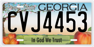 GA license plate CVJ4453