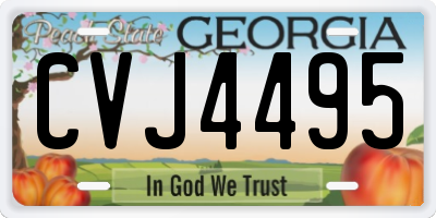 GA license plate CVJ4495