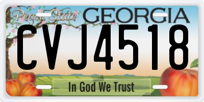 GA license plate CVJ4518