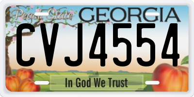 GA license plate CVJ4554