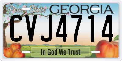 GA license plate CVJ4714