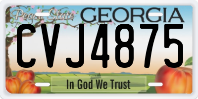 GA license plate CVJ4875