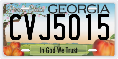 GA license plate CVJ5015
