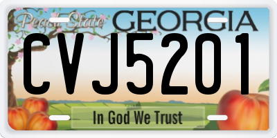 GA license plate CVJ5201