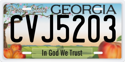 GA license plate CVJ5203