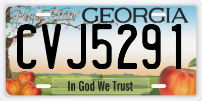 GA license plate CVJ5291