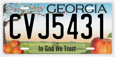 GA license plate CVJ5431