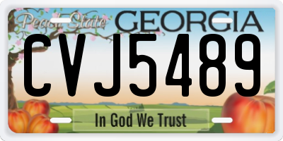 GA license plate CVJ5489