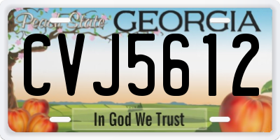 GA license plate CVJ5612