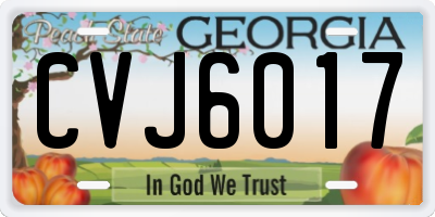 GA license plate CVJ6017