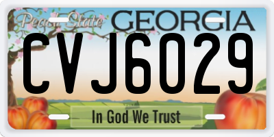 GA license plate CVJ6029