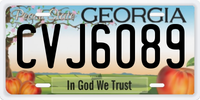 GA license plate CVJ6089