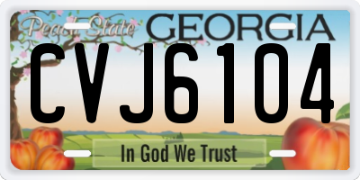 GA license plate CVJ6104