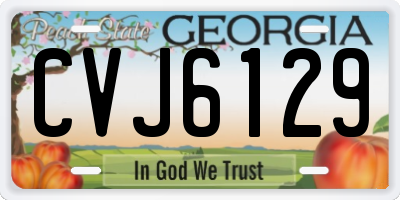 GA license plate CVJ6129