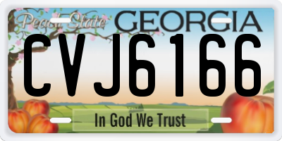 GA license plate CVJ6166