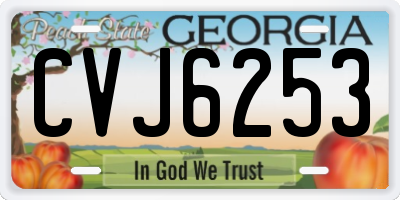 GA license plate CVJ6253