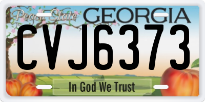 GA license plate CVJ6373