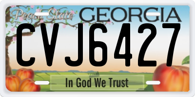 GA license plate CVJ6427