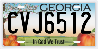 GA license plate CVJ6512