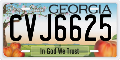 GA license plate CVJ6625