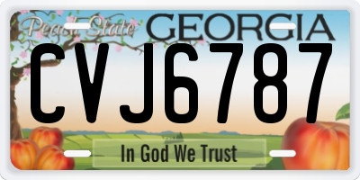 GA license plate CVJ6787