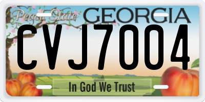 GA license plate CVJ7004