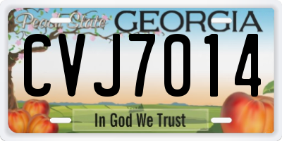 GA license plate CVJ7014
