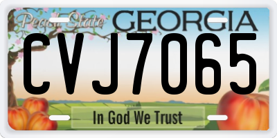 GA license plate CVJ7065