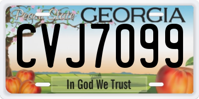 GA license plate CVJ7099