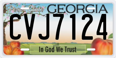 GA license plate CVJ7124