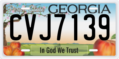 GA license plate CVJ7139