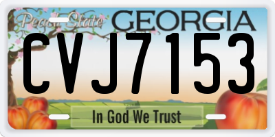 GA license plate CVJ7153