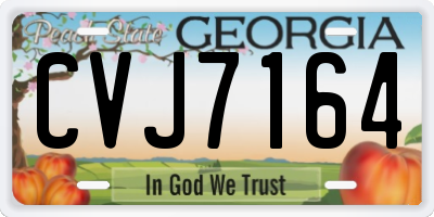 GA license plate CVJ7164
