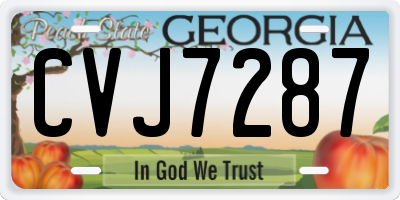 GA license plate CVJ7287