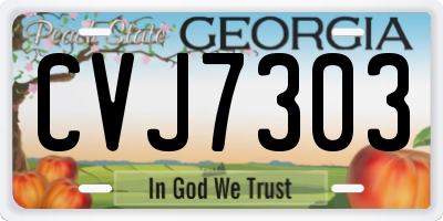 GA license plate CVJ7303