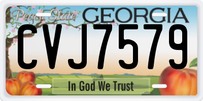 GA license plate CVJ7579