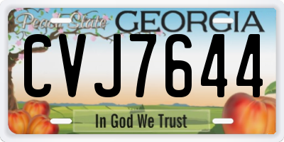 GA license plate CVJ7644