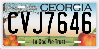GA license plate CVJ7646