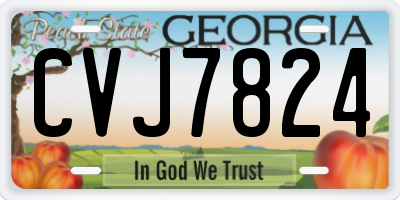 GA license plate CVJ7824