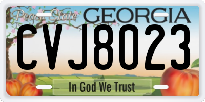 GA license plate CVJ8023