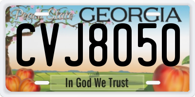 GA license plate CVJ8050