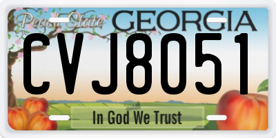 GA license plate CVJ8051