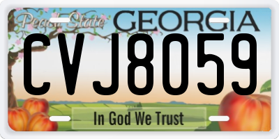 GA license plate CVJ8059