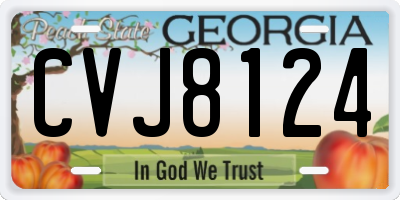GA license plate CVJ8124