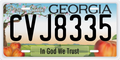 GA license plate CVJ8335