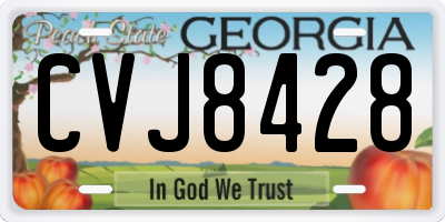 GA license plate CVJ8428