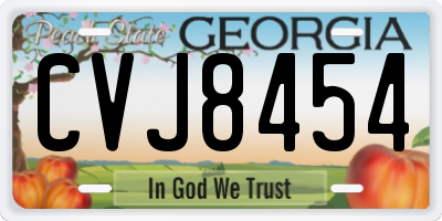 GA license plate CVJ8454