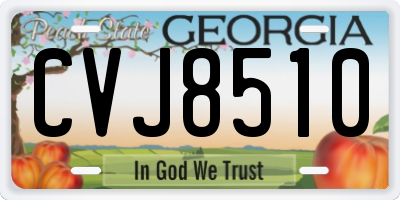 GA license plate CVJ8510