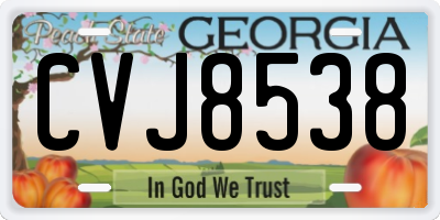 GA license plate CVJ8538